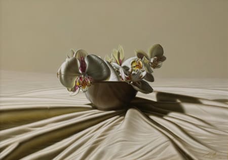 Luigi Pellanda — Orchidee maculate